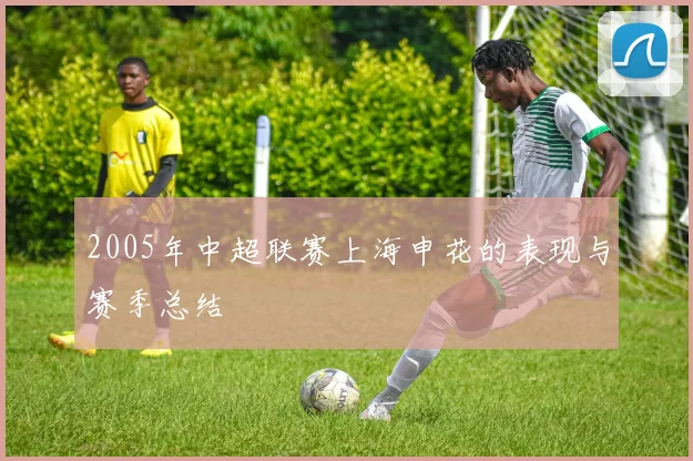 2005年中超联赛上海申花的表现与赛季总结