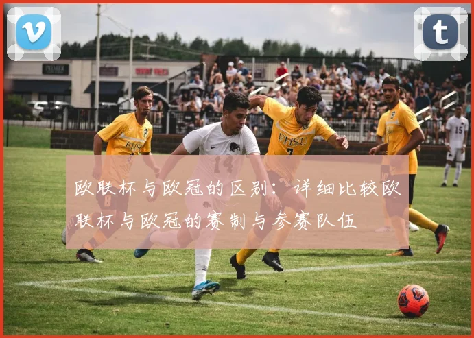 欧联杯与欧冠的区别：详细比较欧联杯与欧冠的赛制与参赛队伍