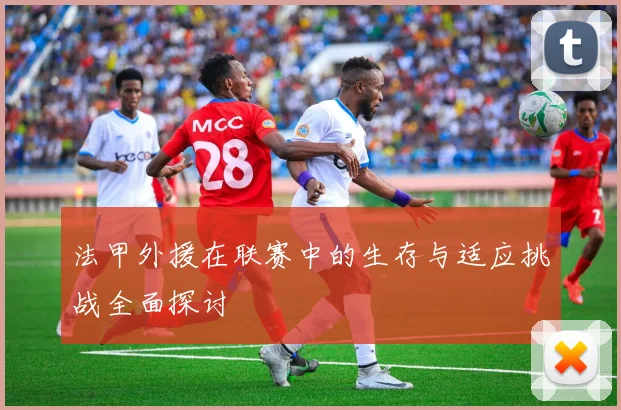 法甲外援在联赛中的生存与适应挑战全面探讨