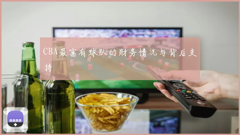 CBA最富有球队的财务情况与背后支持