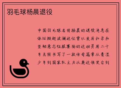 羽毛球杨晨退役