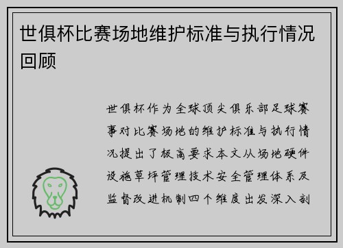 世俱杯比赛场地维护标准与执行情况回顾